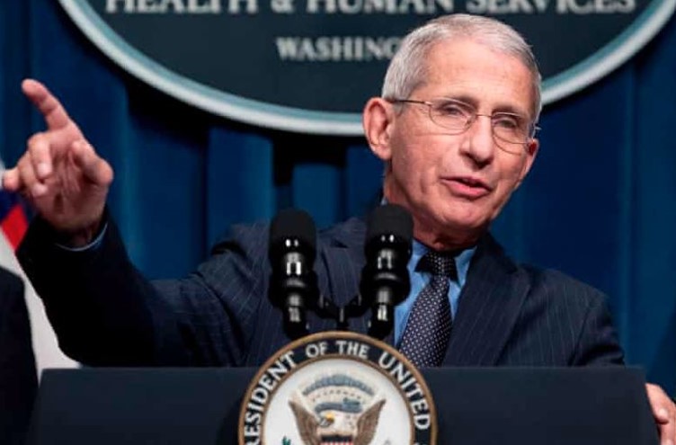 Democrats Had the Password to Fauci's Secrets the Whole Time — They Never Even Logged In