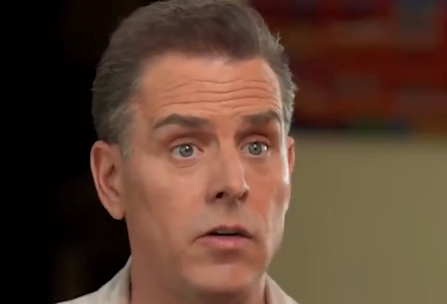 Hunter Biden Hits the Skids Again Financially, Sued by Former Lawyer