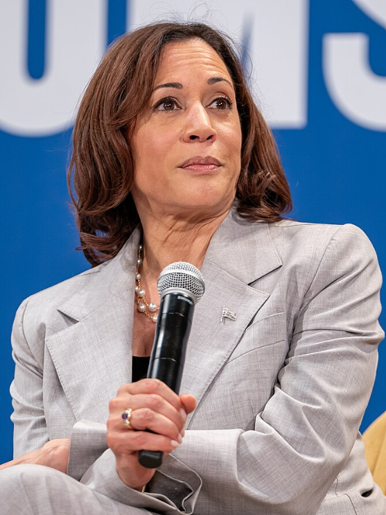 Kamala Harris Lost by 86 Electoral Votes, Now Lectures Us on What the Founders Wanted